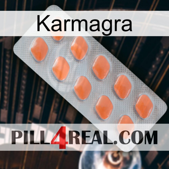 Karmagra 26.jpg